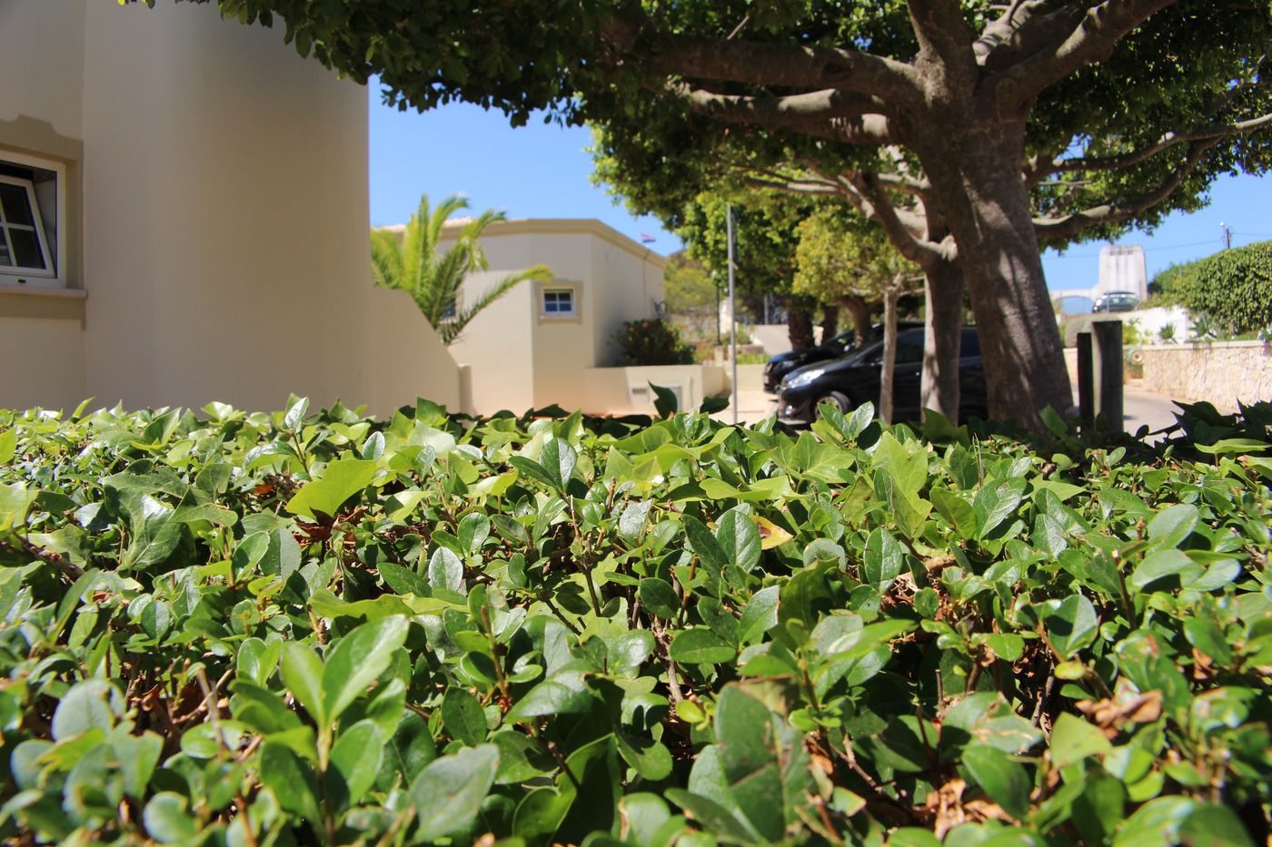 Ponta-Grande-Vila-Do-Castelo-General-view-11