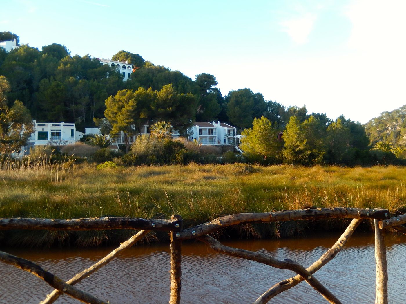 Desmais-General-view-58