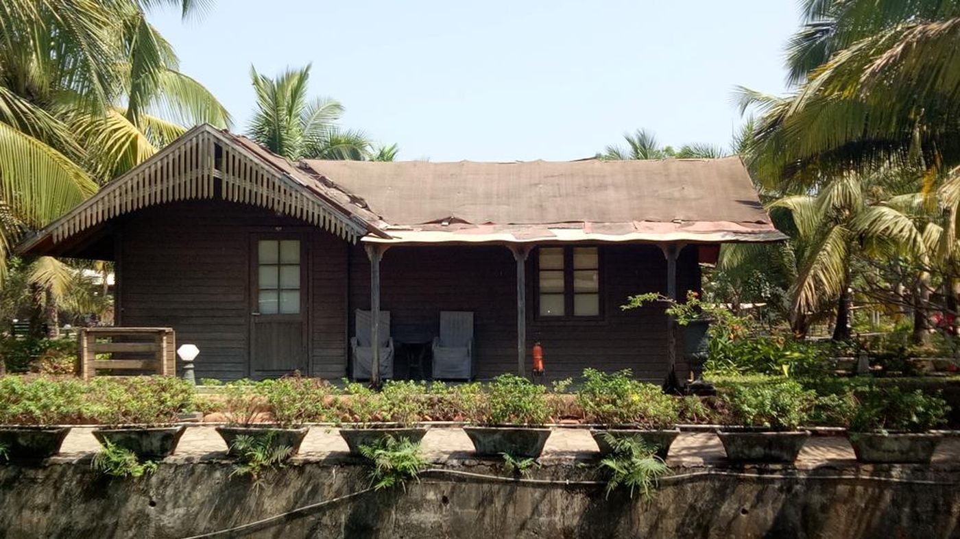 Primo Bom Terra Verde