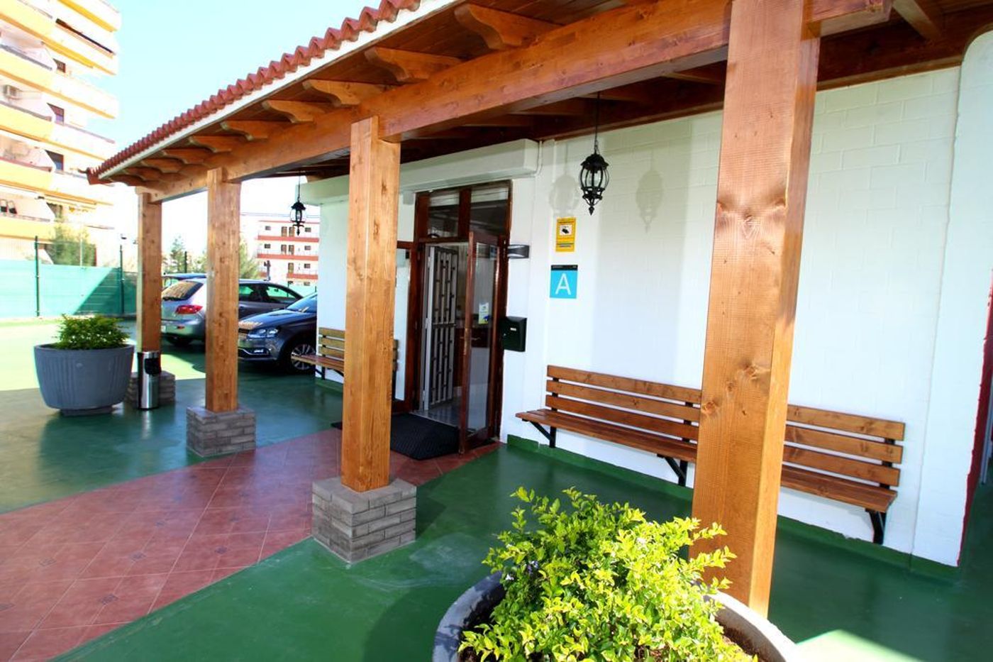 Strelitzias-General-view-14