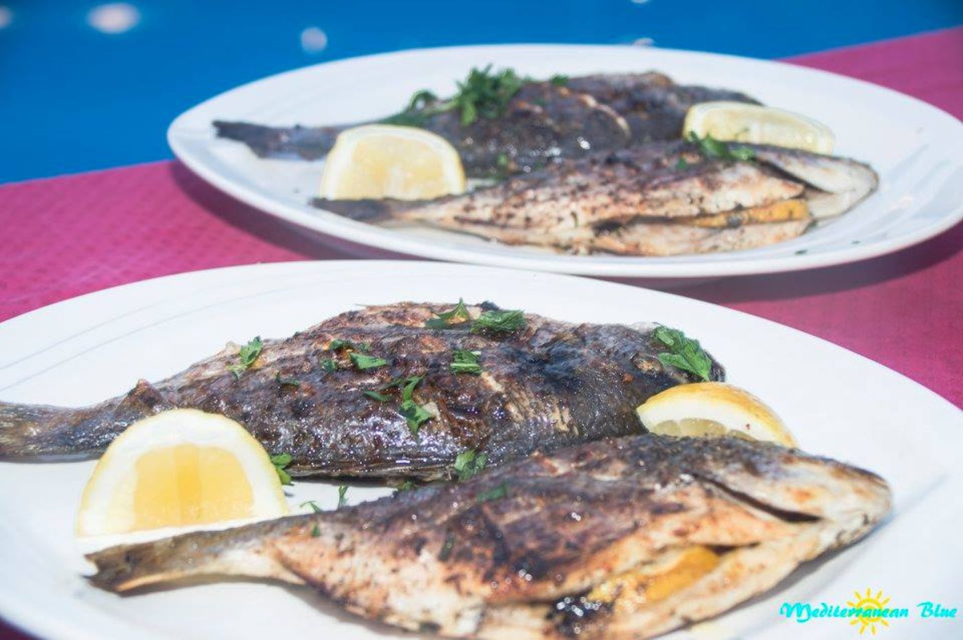 Mediterranean-Blue-Restaurant-26