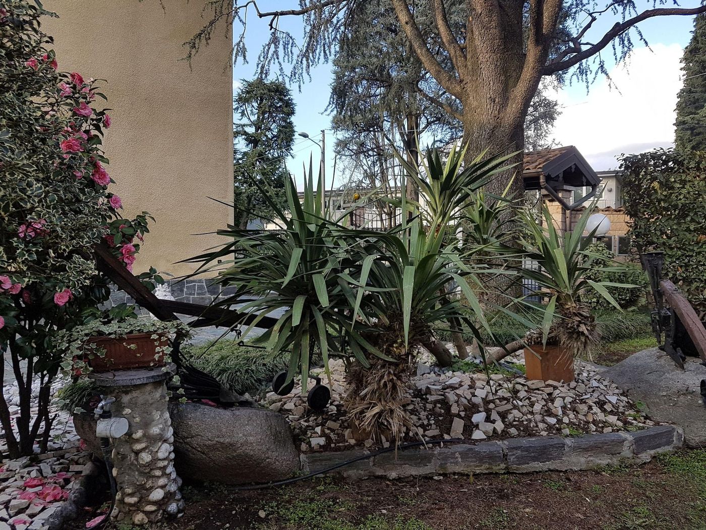 B&B Le Palme-Italy-BULGAROGRASSO-General view-3