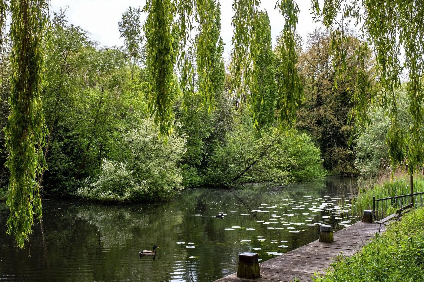 Element Amsterdam-Netherlands-AMSTERDAM-General view-5