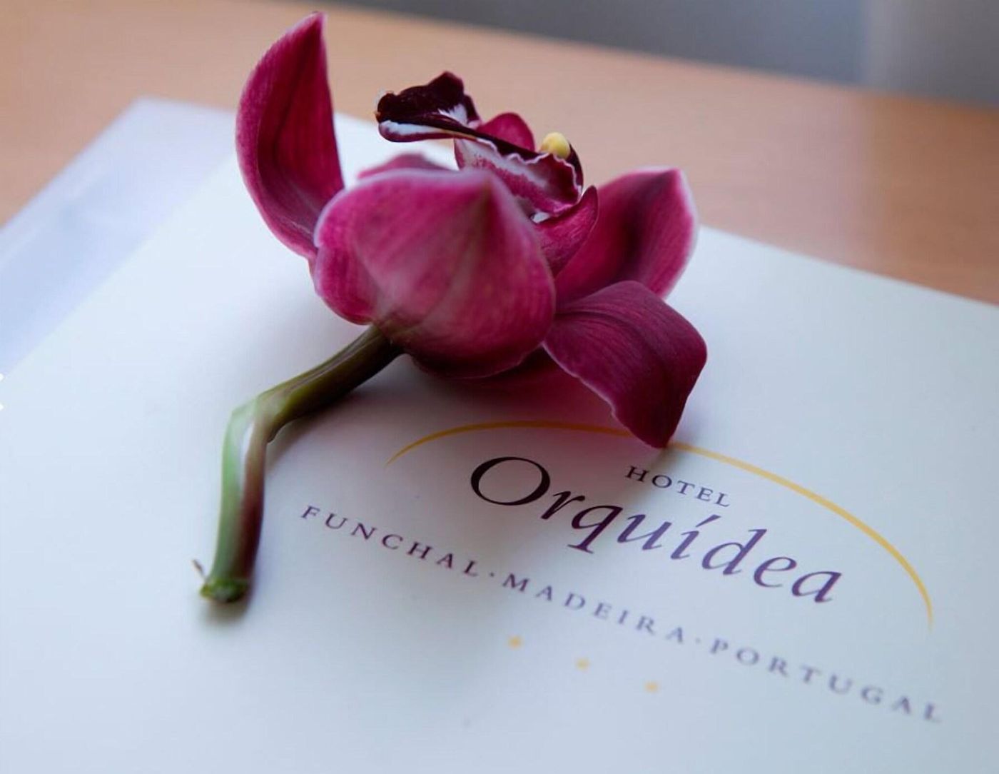 Orquidea-Room-20