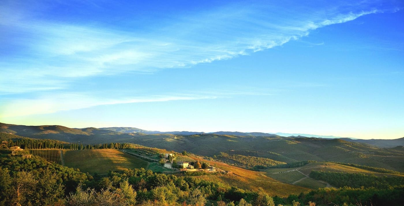 Eh-Villa-Dievole-General-view-58