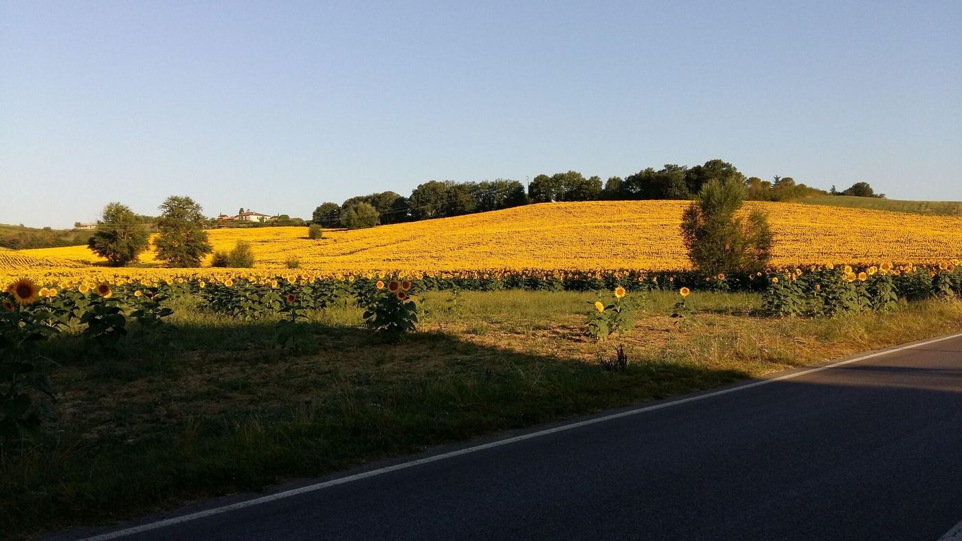 Hotel-1000-Miglia-General-view-3