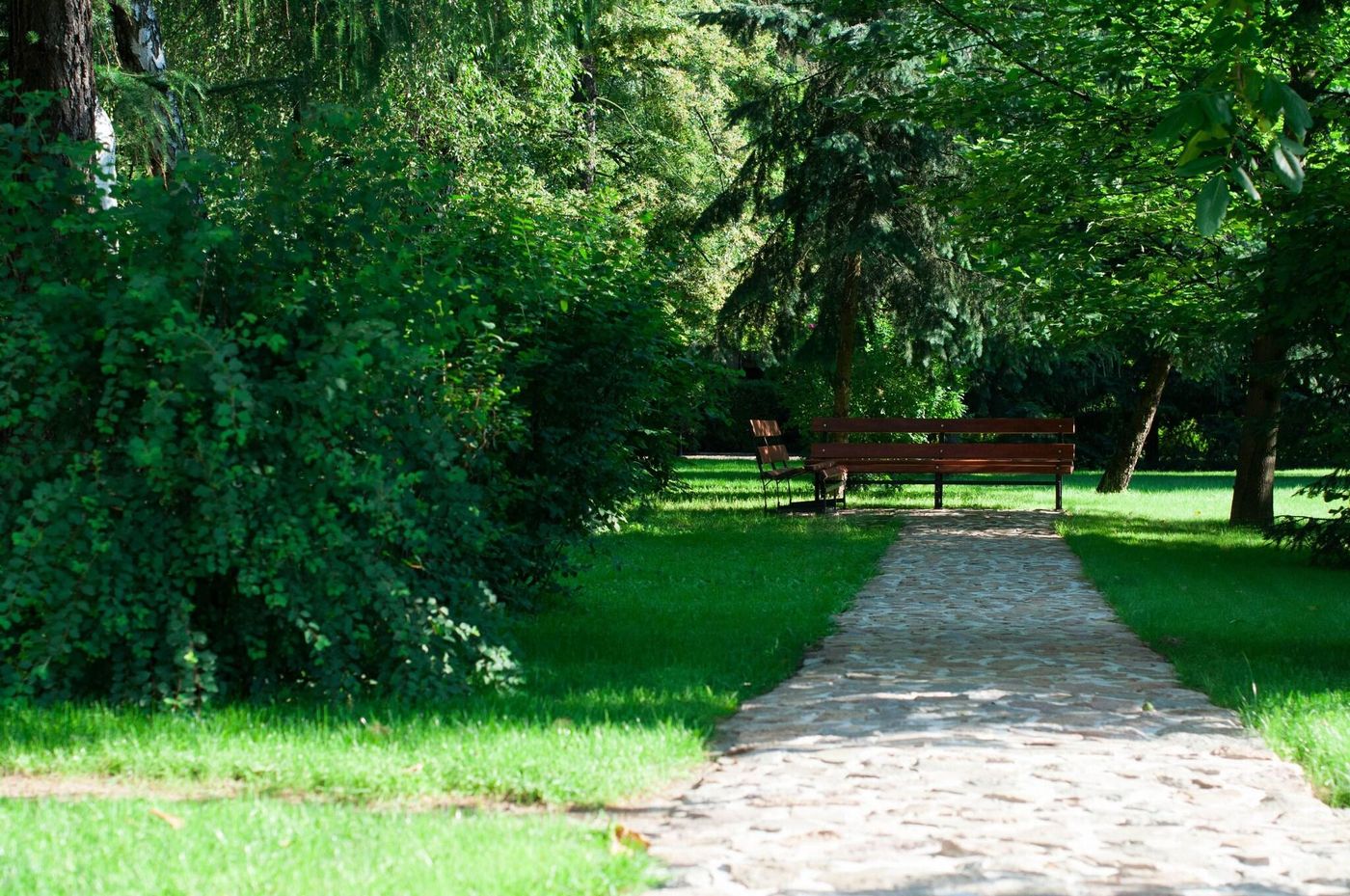 Domus-Mater-General-view-69