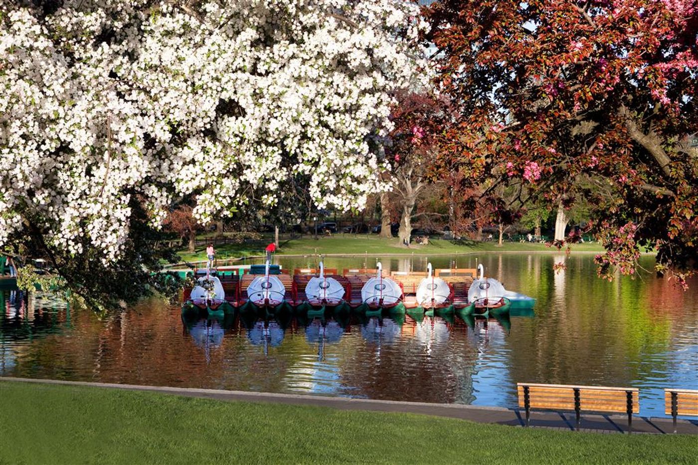 Westin-Copley-Place-General-view-90