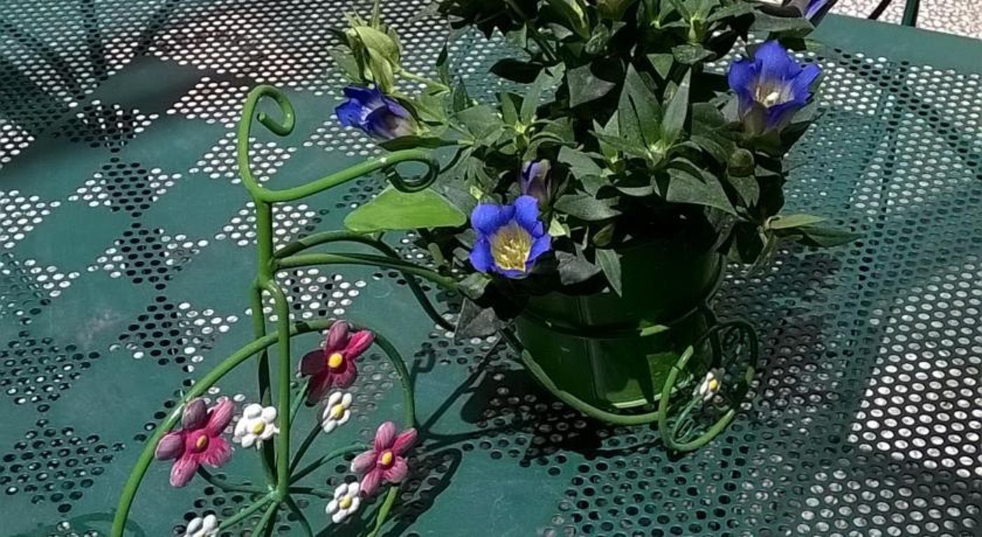 France-Eiffel-Terrace-1