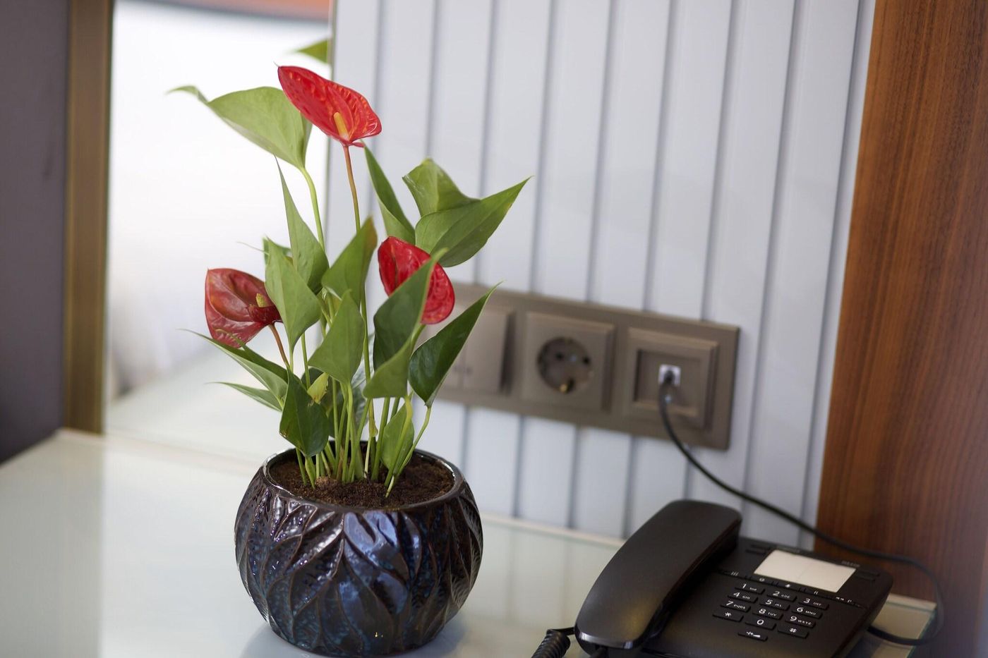 Eyfel-General-view-5