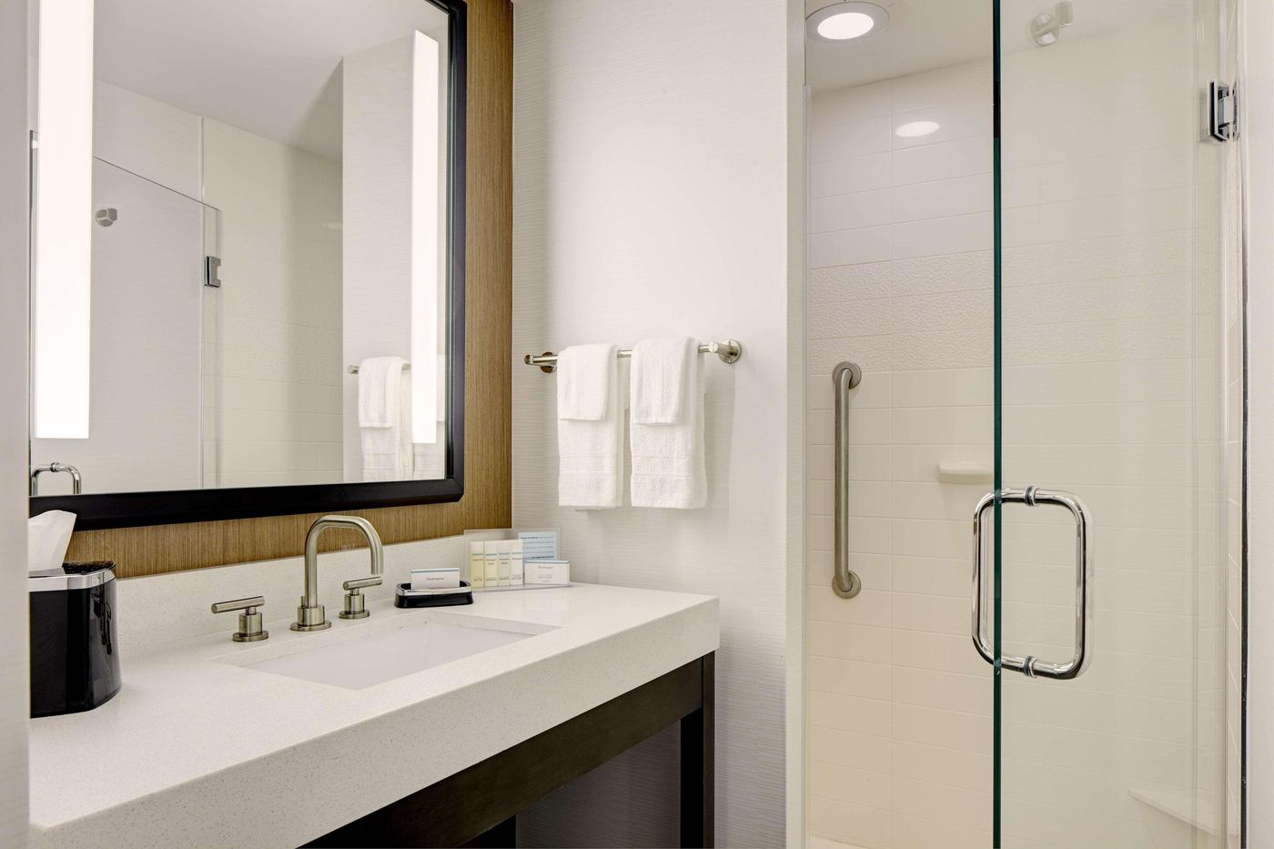 Hampton-Inn-Brooklyn-Downtown-Room-22