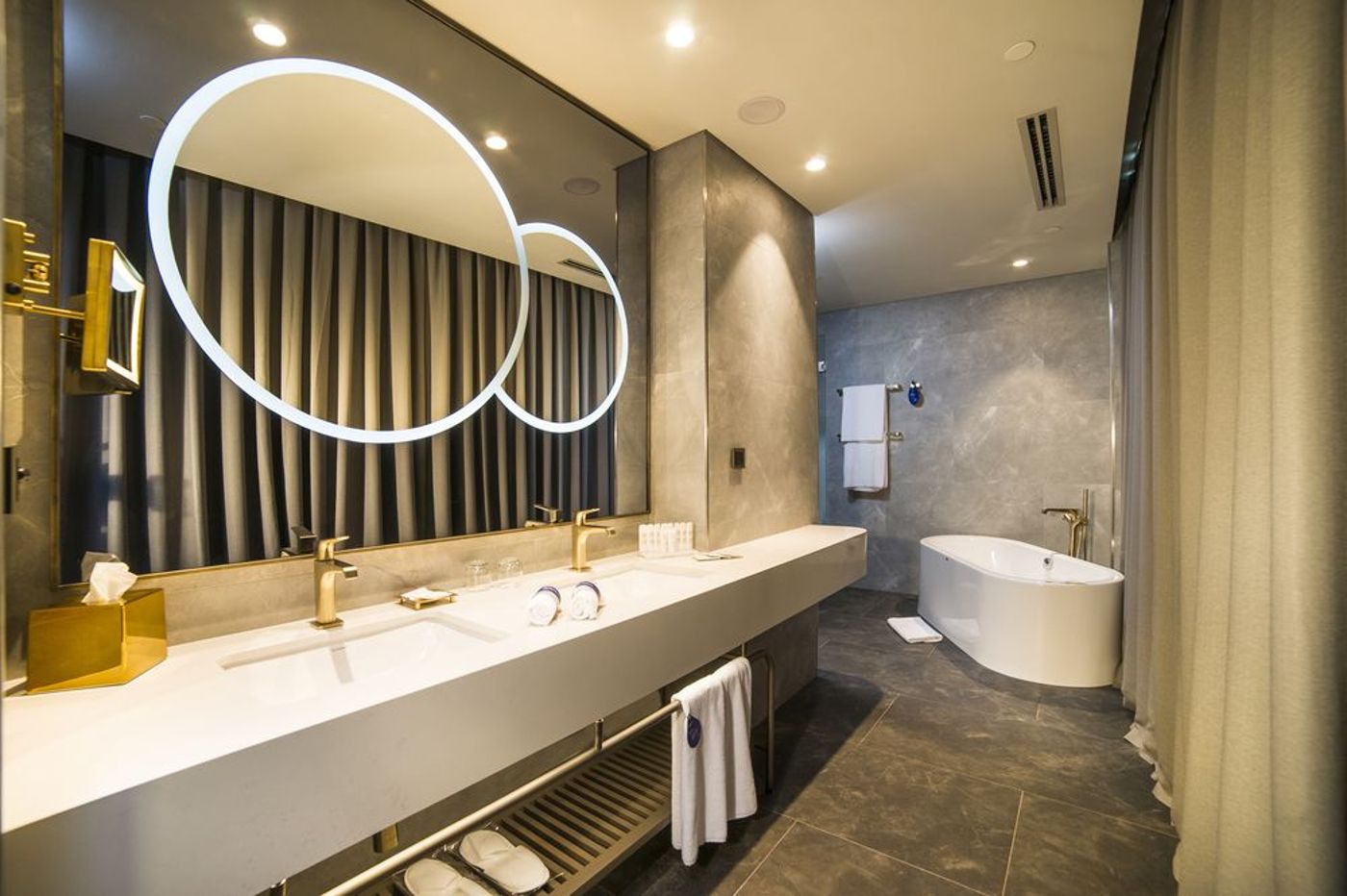 Radisson-Collection-Hotel-Vadistanbul-Room-67