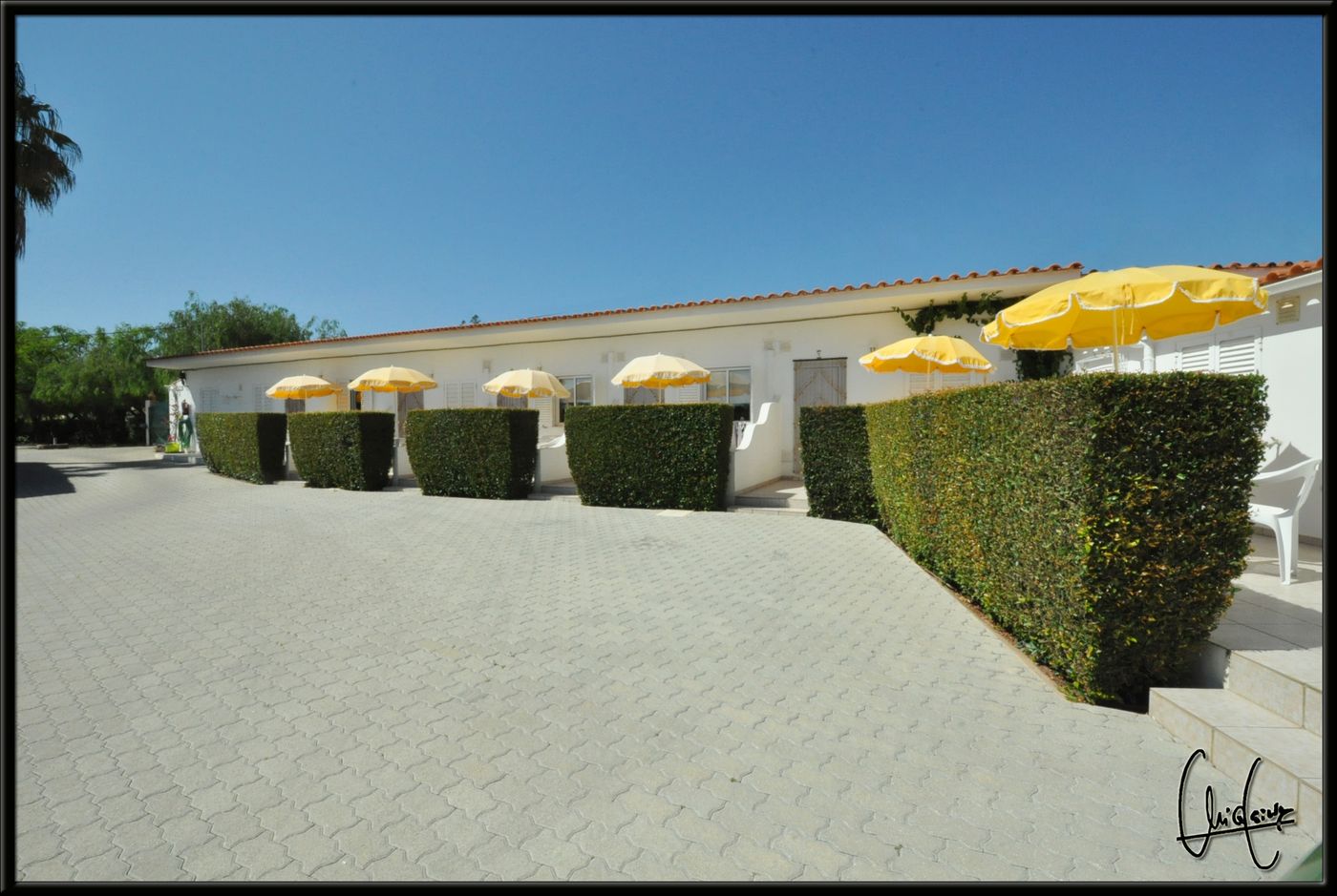 Flor-Da-Laranja-Room-22