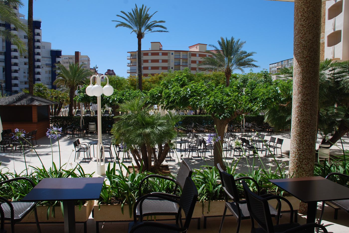 Los-Robles-Sports-and-Entertainment-6