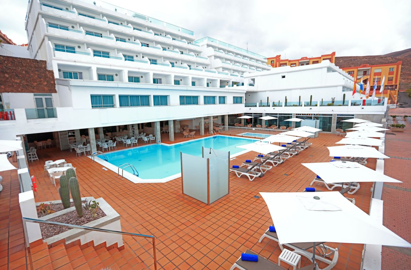 Lemon & Soul Cactus Garden