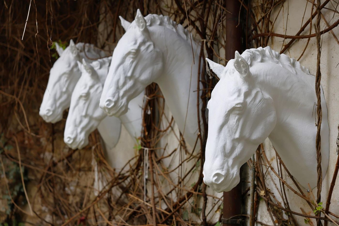 Hotel-Prokop-Square-General-view-58