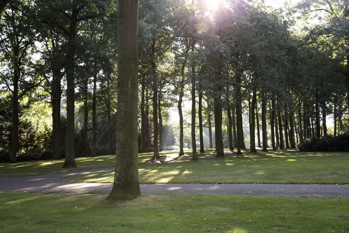 Parkzicht-Netherlands-EINDHOVEN -General view-4