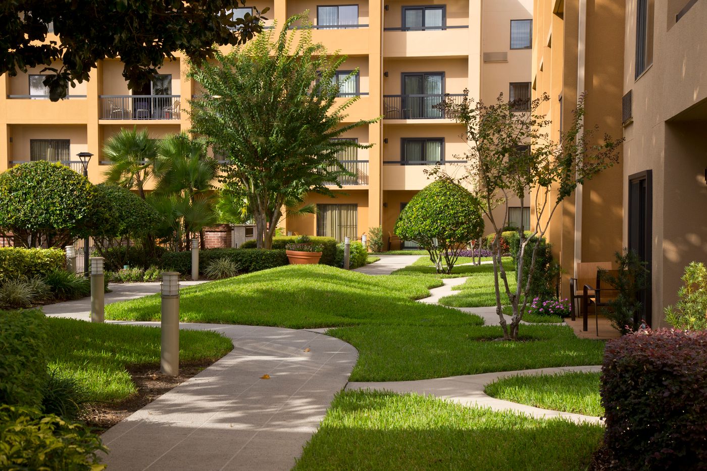 Courtyard By Marriott Orlando International Dr / C-United States-Orlando-General view-6