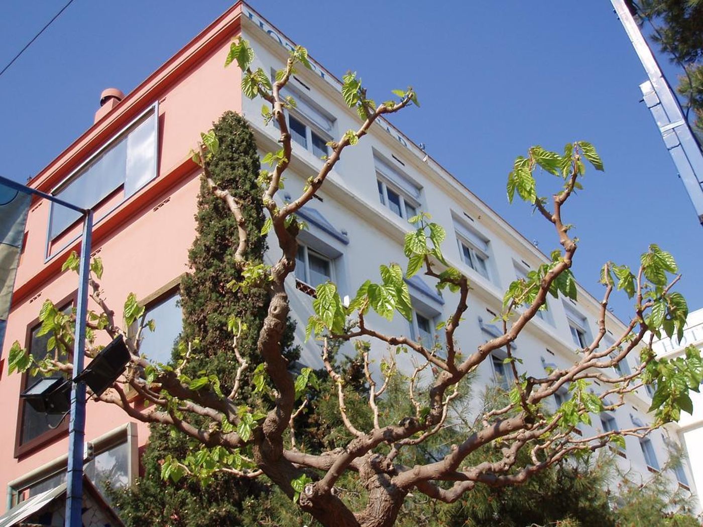 Cesar-General-view-5