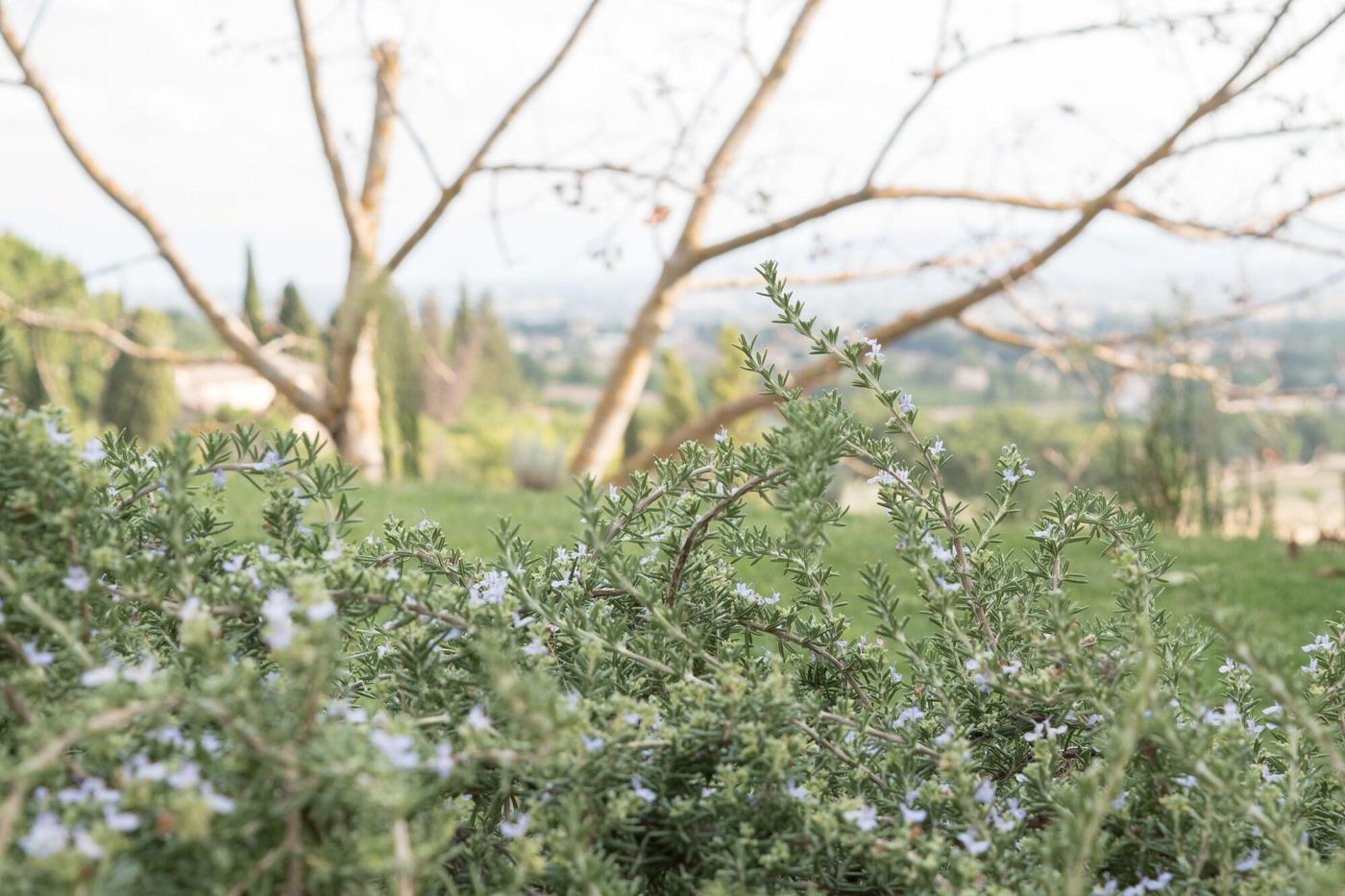 B&B Cantico delle Creature-Italy-ASSISI-General view-10