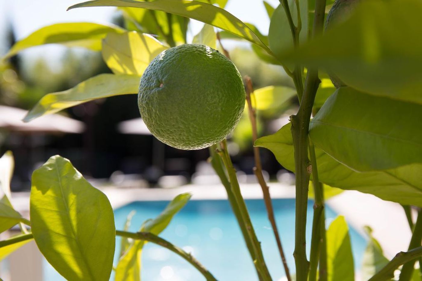 The Originals City, Hôtel Le Lodge, Bayonne Nord-France-ONDRES-General view-7