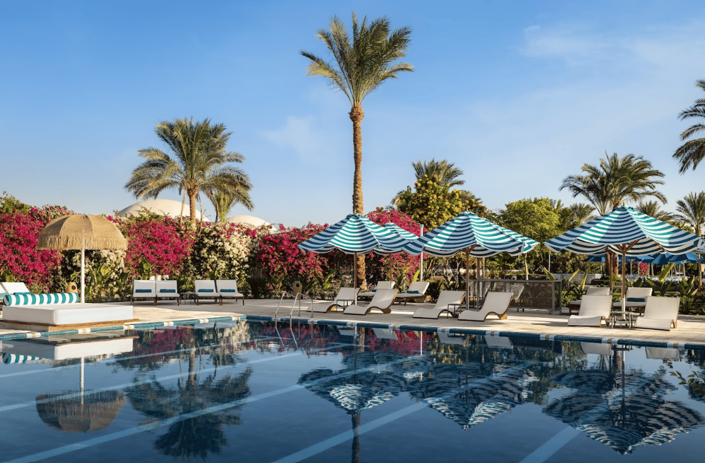 Desert Rose Hurghada 