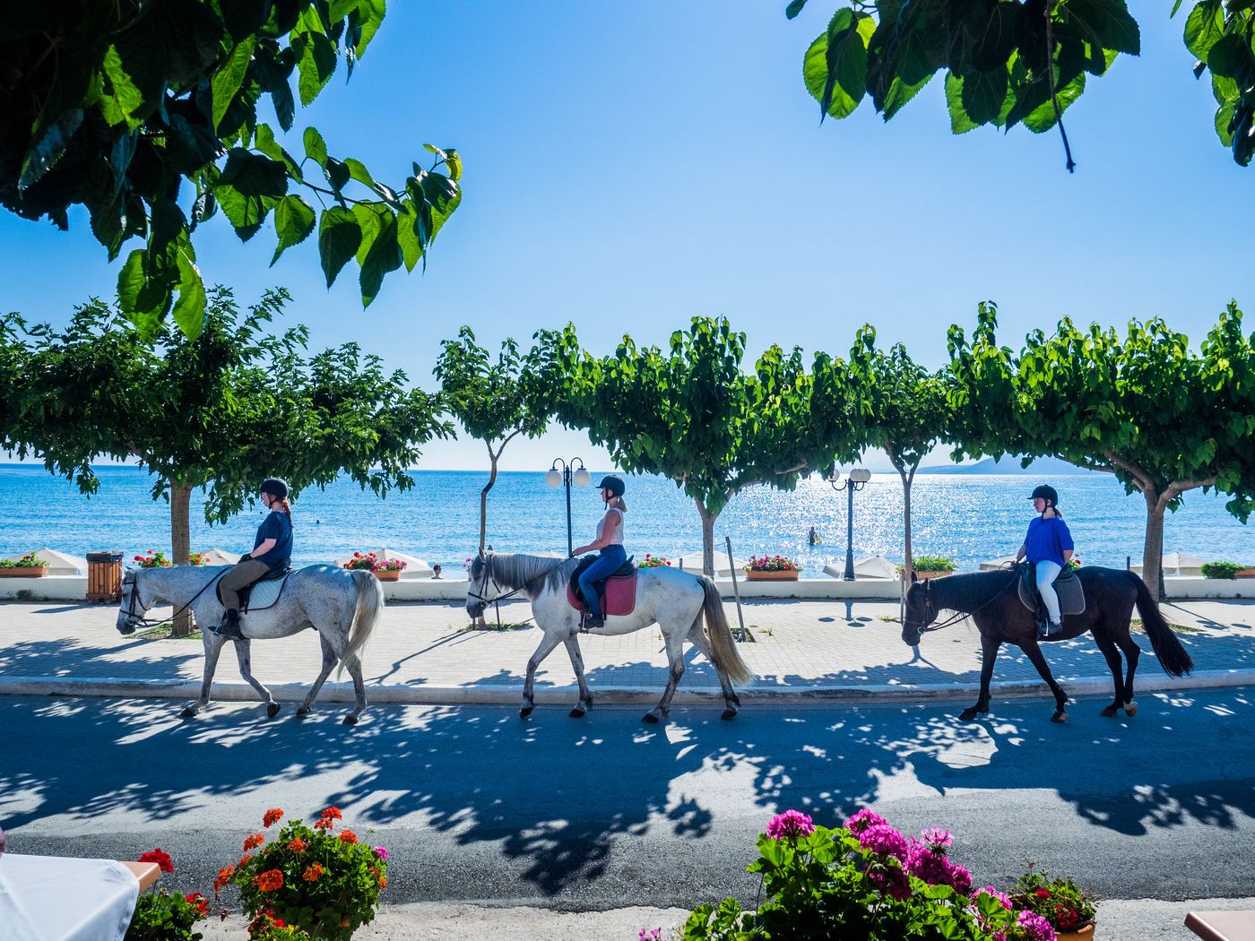 Corissia-Princess-Sports-and-Entertainment-64