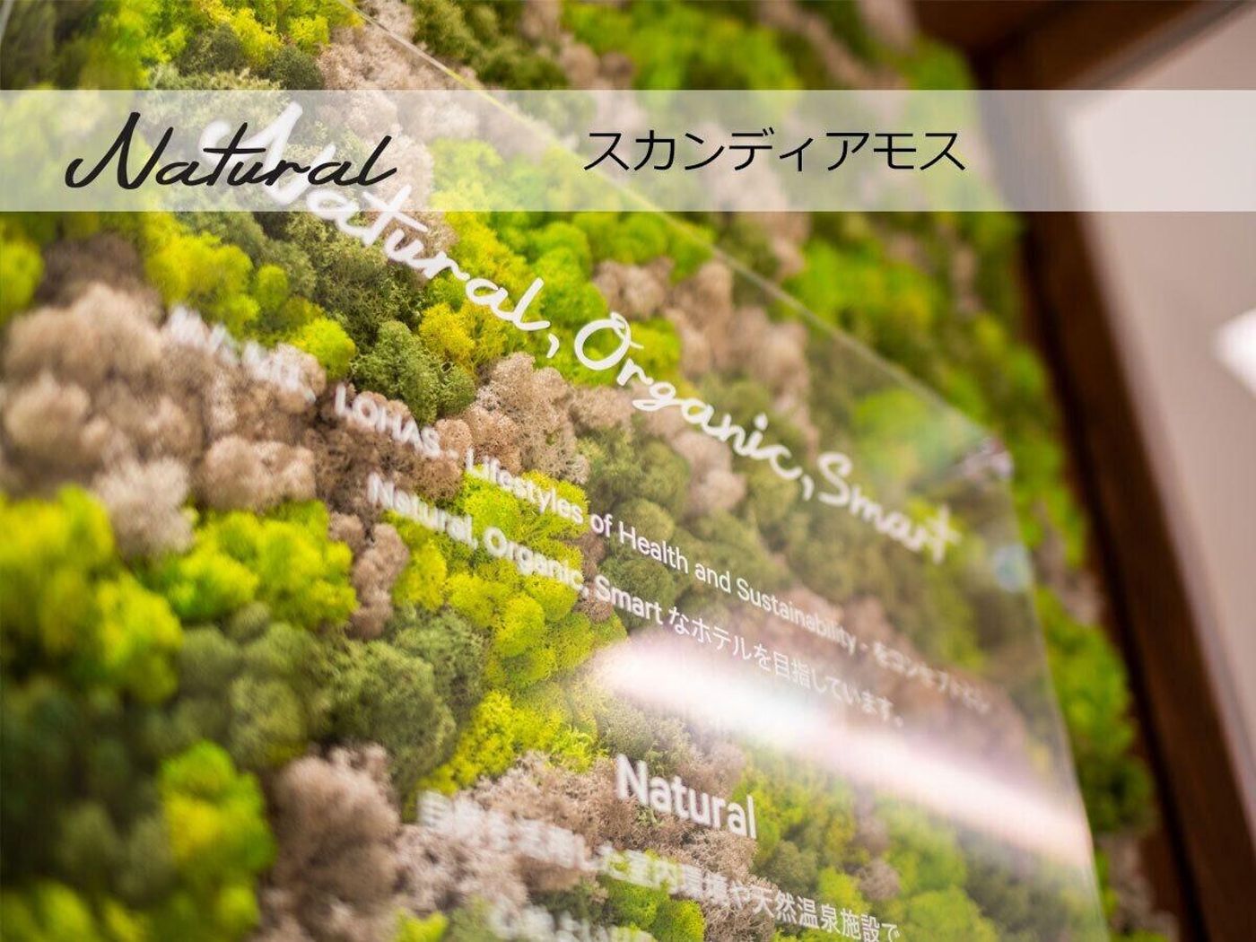 Super Hotel Tokyo Akabane eki Minamiguchi-Japan-TOKYO-Lobby-7