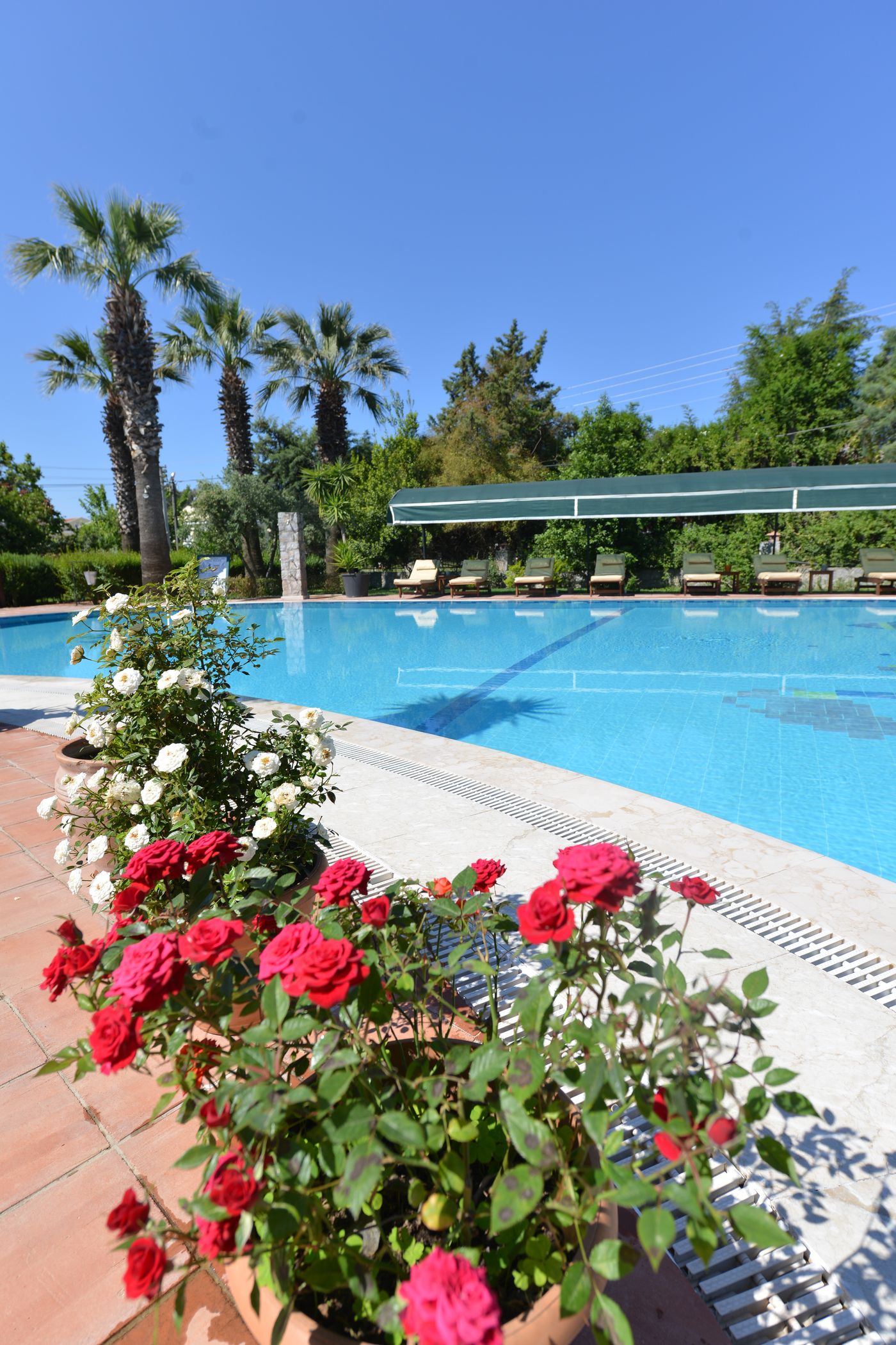 Rebin-Beach-General-view-27