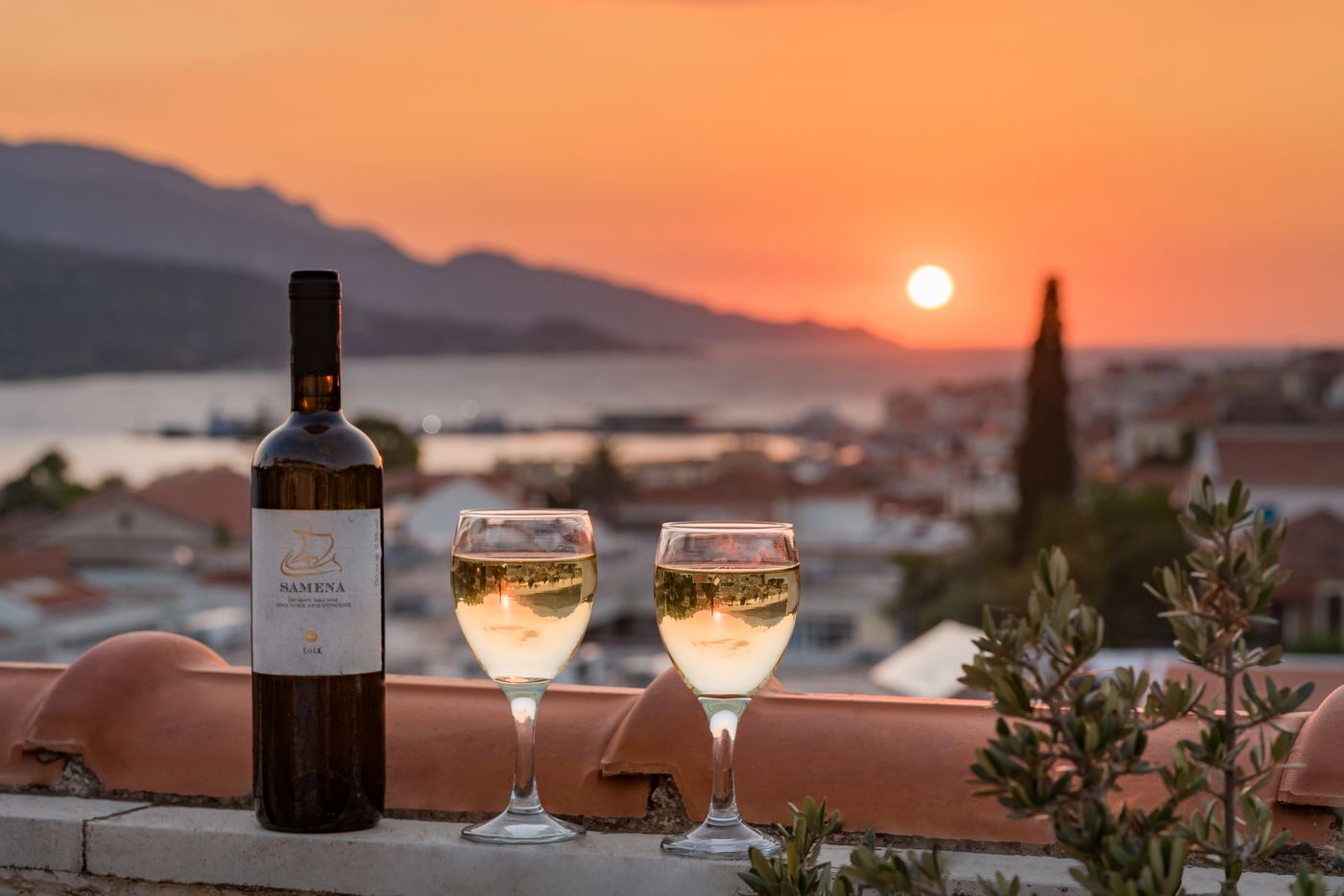 Virginia-Hotel-General-view-32