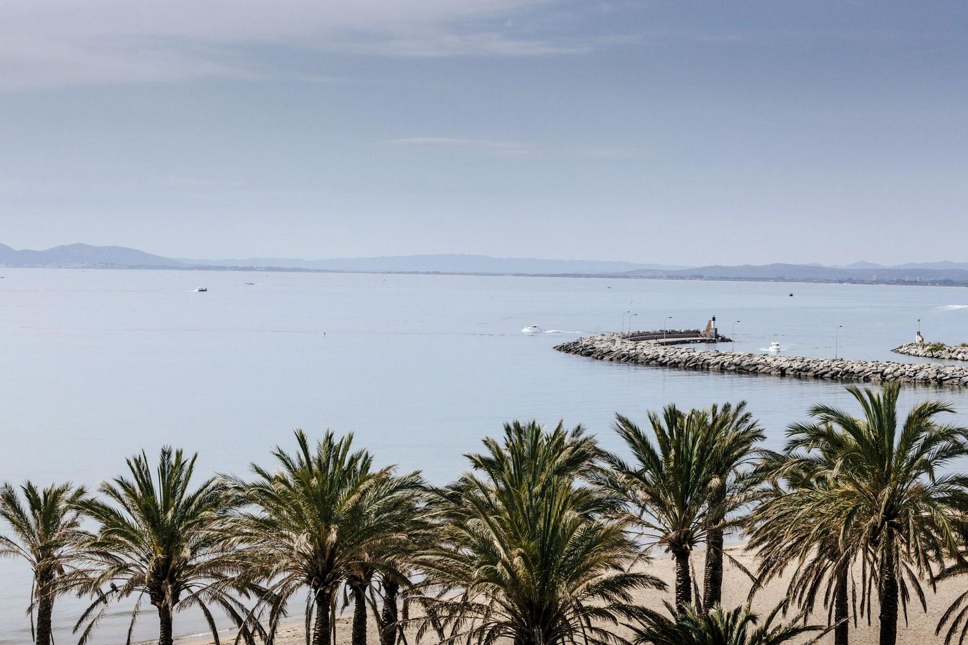 Montecarlo-General-view-41