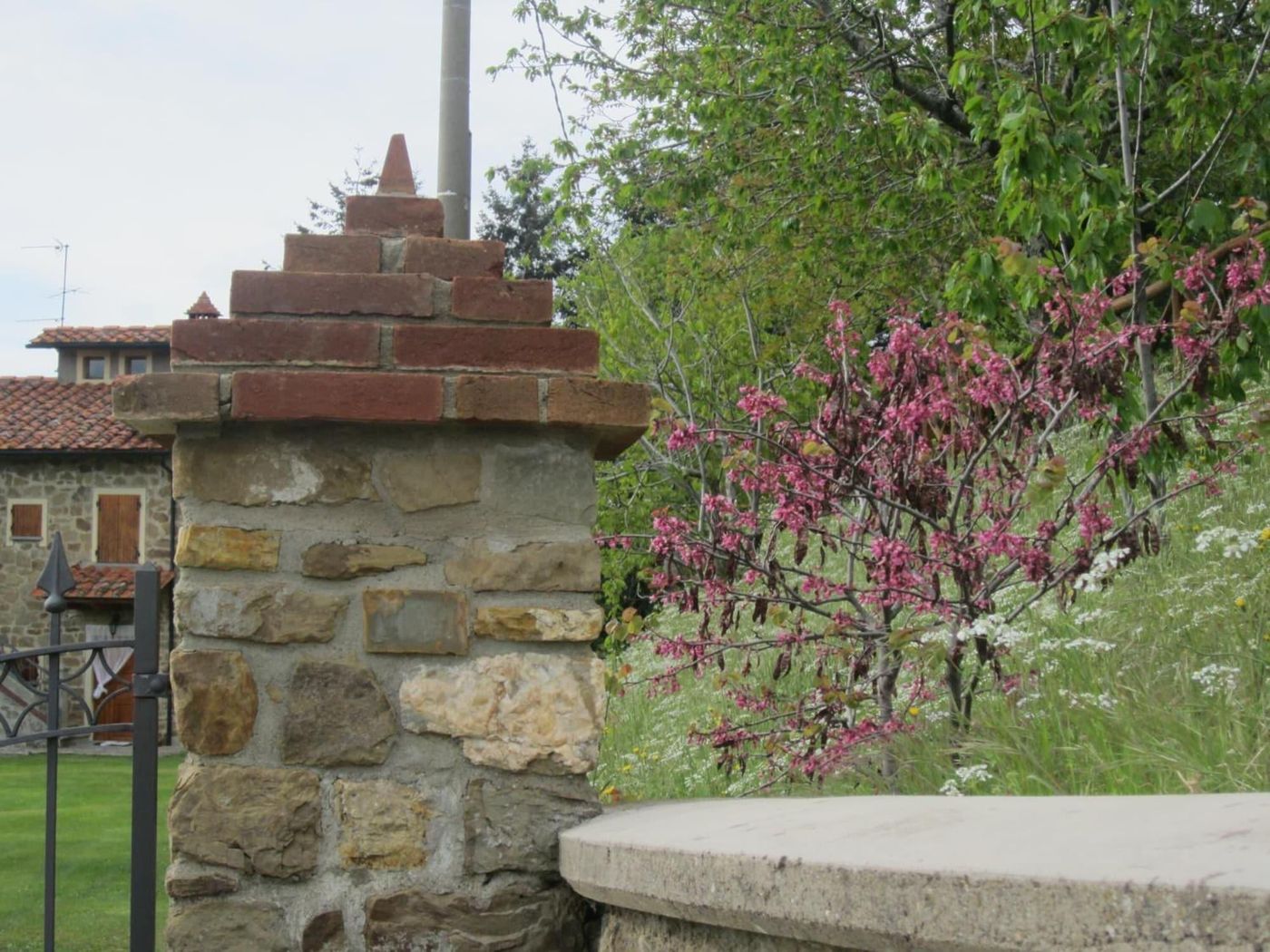 Bed-And-Breakfast-Country-Hill-General-view-16