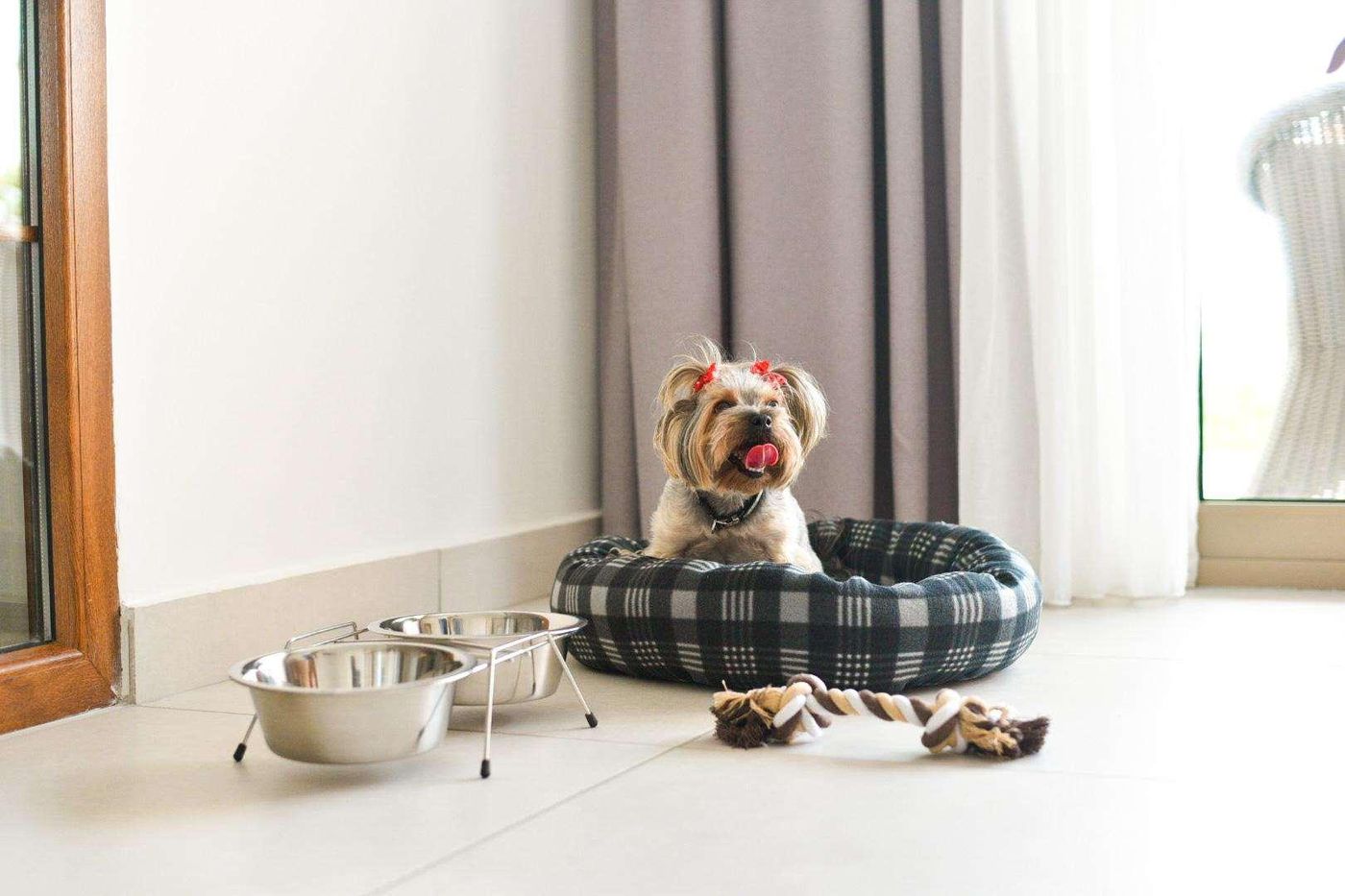 Athena-Pallas--Sports-and-Entertainment-51