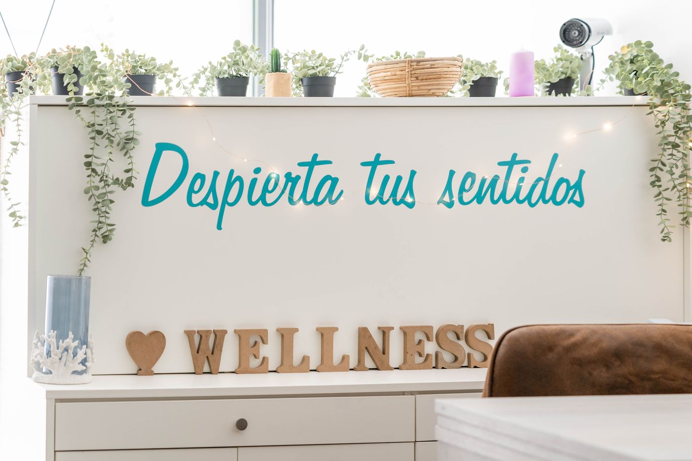 Planas-Sports-and-Entertainment-60