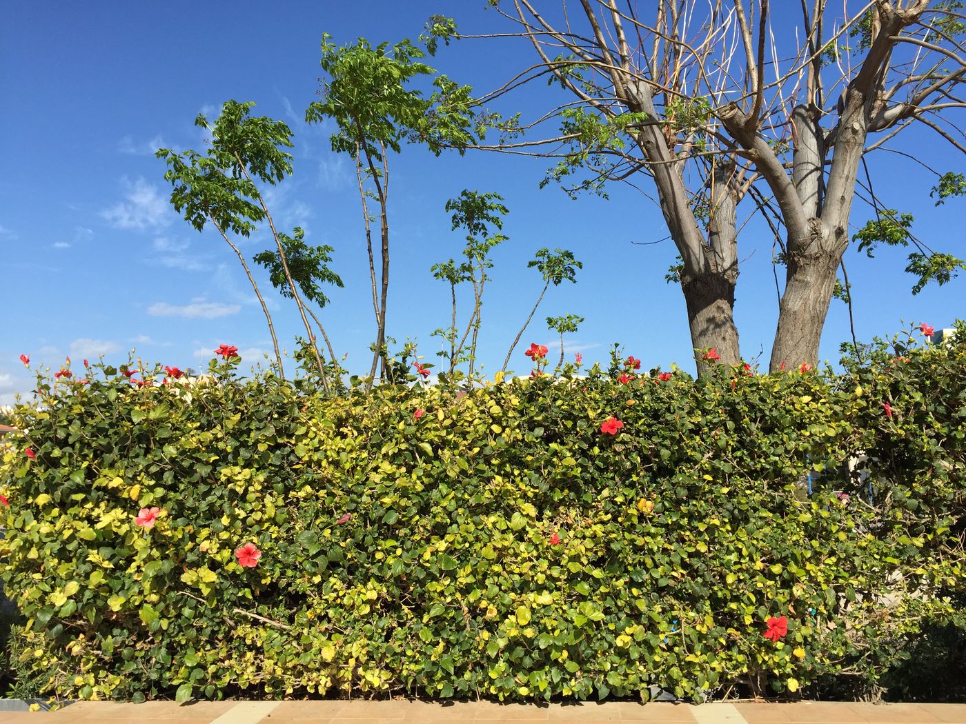 Blue-Crane-Hotel-Apts-General-view-9