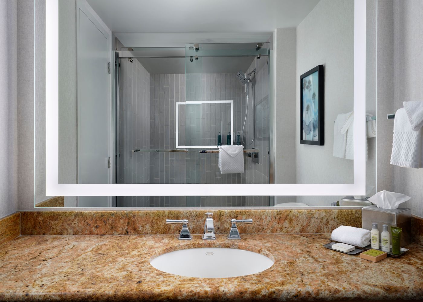 Hotel-Fera-Anaheim--a-DoubleTree-by-Hilto-Room-33