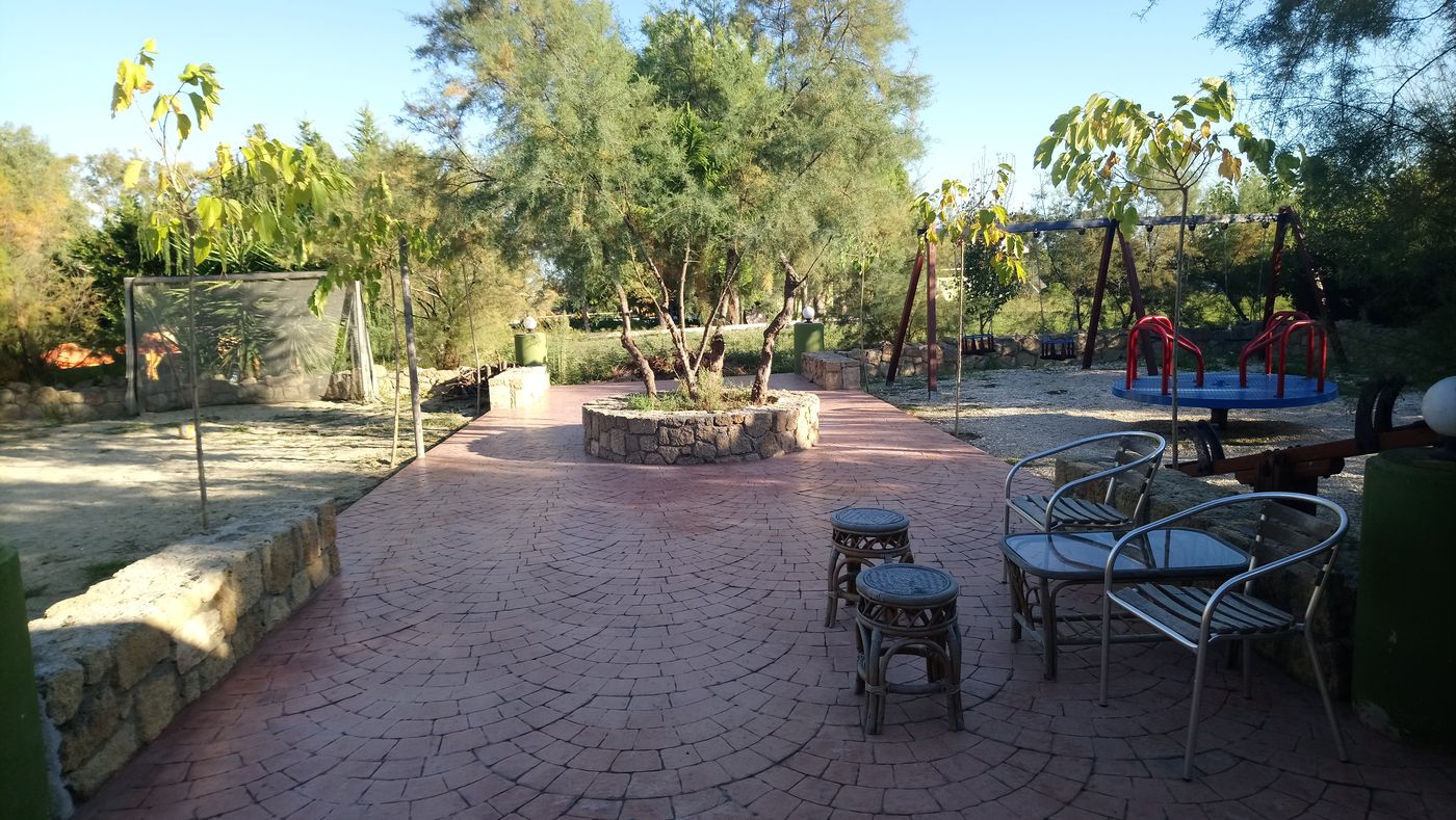 Zest---Xi-Beach-Sports-and-Entertainment-60