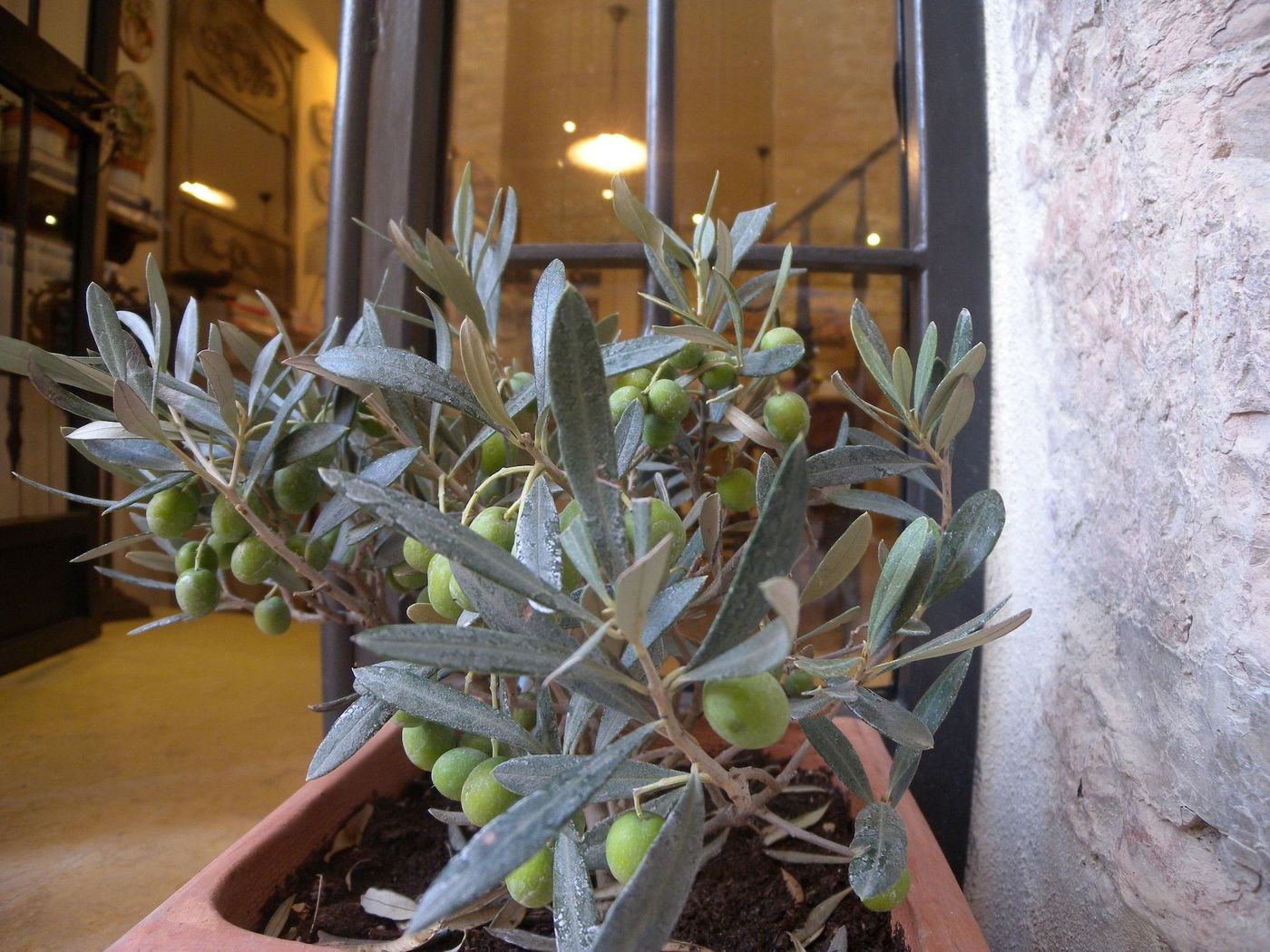 Bed And Breakfast A Casa Delle Fate-Italy-ASSISI-General view-4