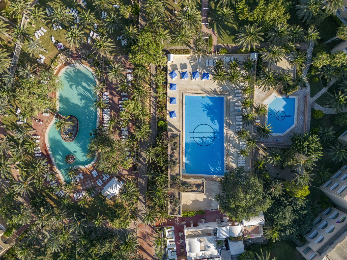 New - Mediterranee Thalsso