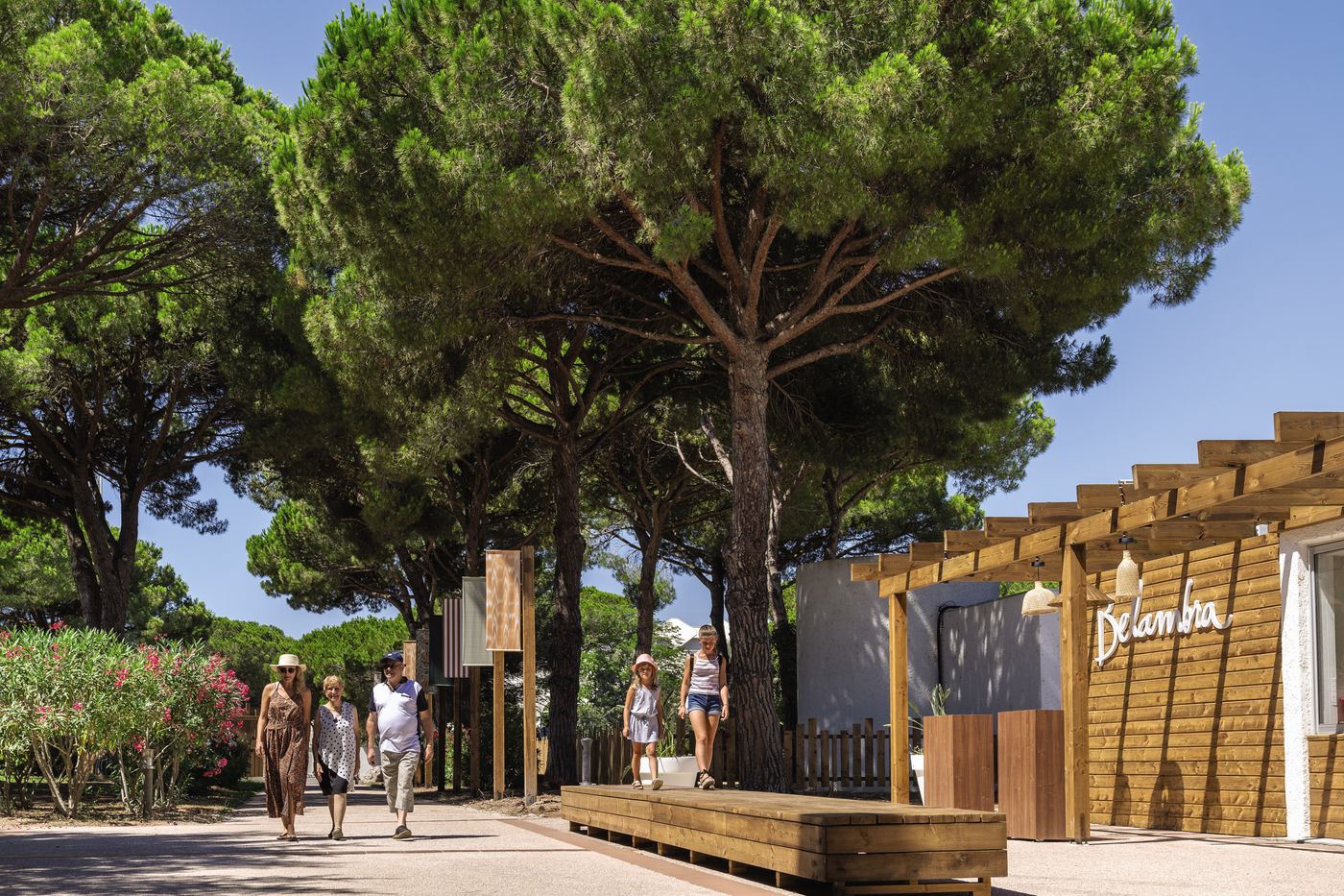 Belambra Clubs - Presqu'ile du Ponan - France - LA GRANDE MOTTE - Lobby - 10