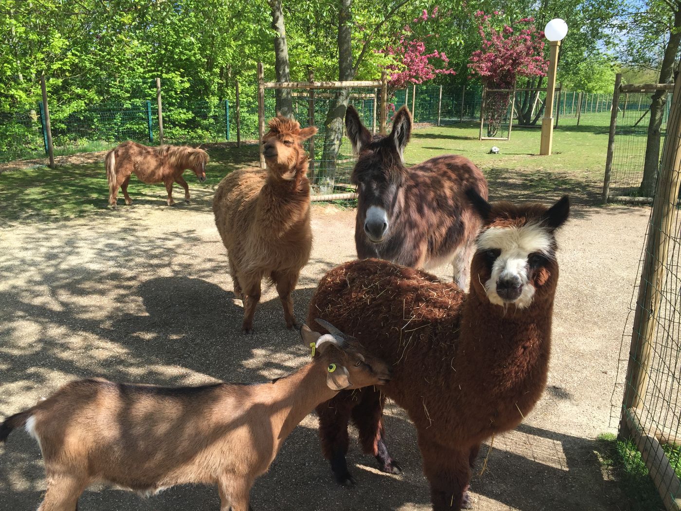 Campanile-Val-de-France-Ex-Kyriad-Disneyland-Sports-and-Entertainment-55