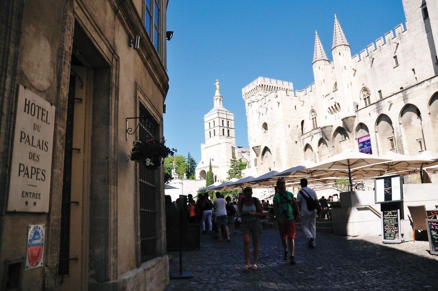 Palais du Papes-France-AVIGNON -General view-1