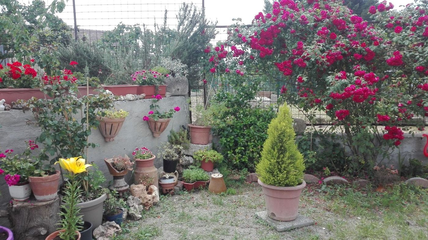 Angolo Felice-Italy-MATERA-General view-6