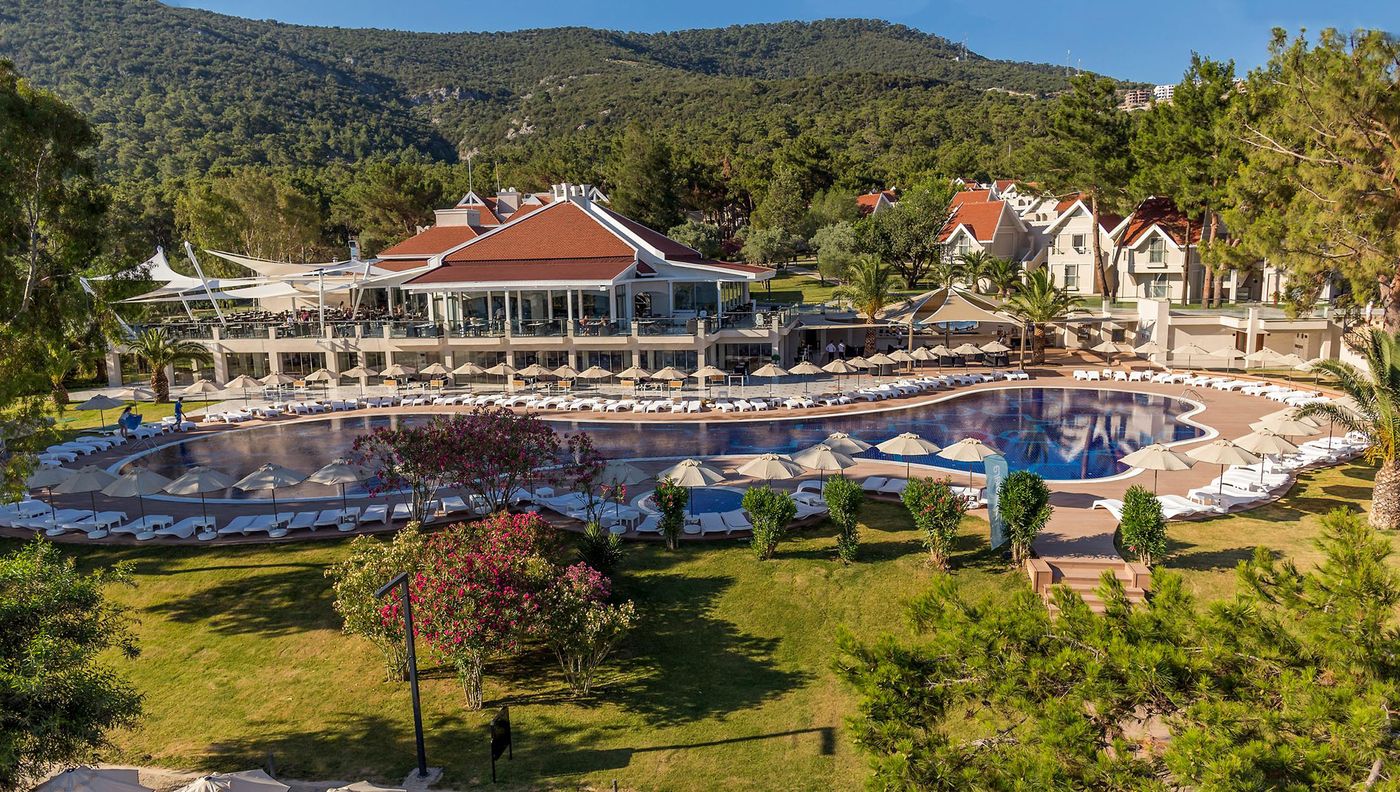 Long Beach Club Nature 01