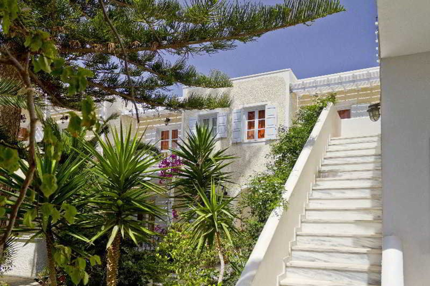 Dolphins-General-view-5