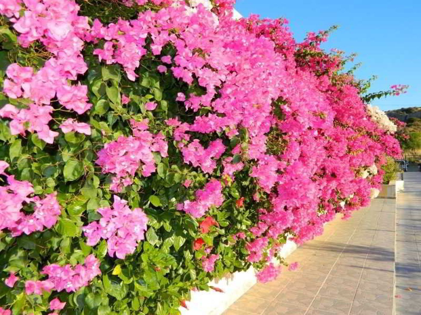 Telhinis-Hotel-Lobby-10