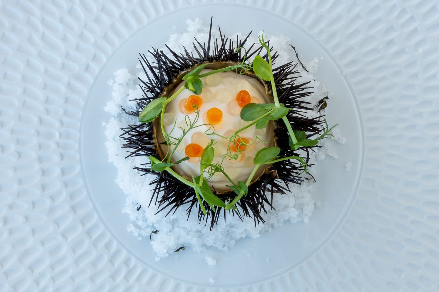 Pomegranate-Spa-Restaurant-42