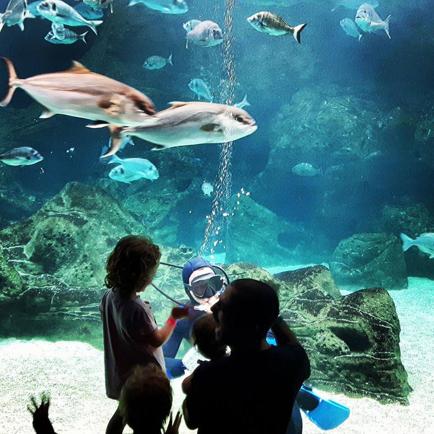 Galini-Sports-and-Entertainment-20