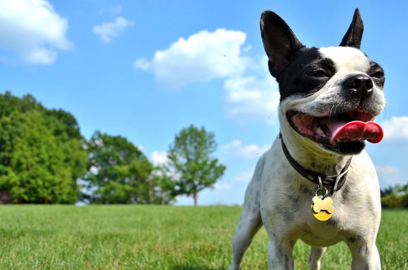 Aloft Philadelphia Airport-United States-Philadelphia-General view-2