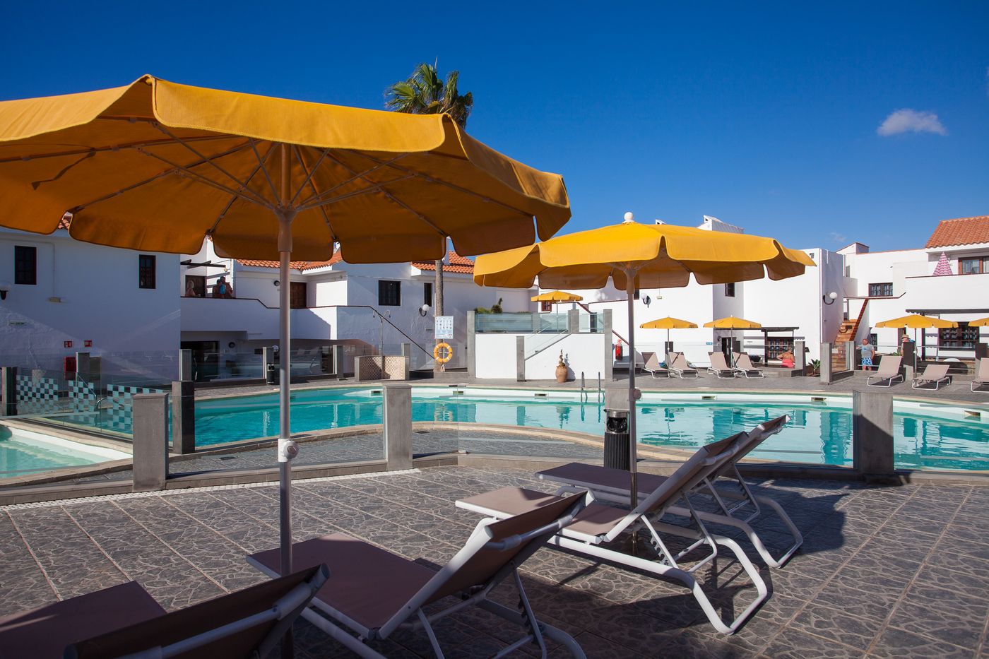 Villa-Florida-Pool-2